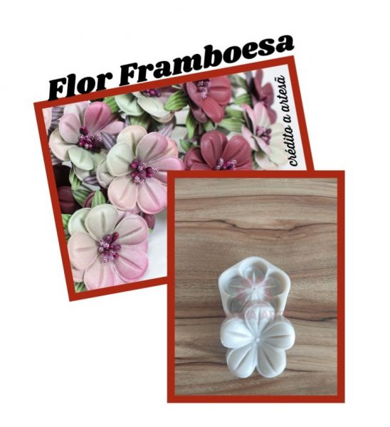 Flor da framboesa(n-488)