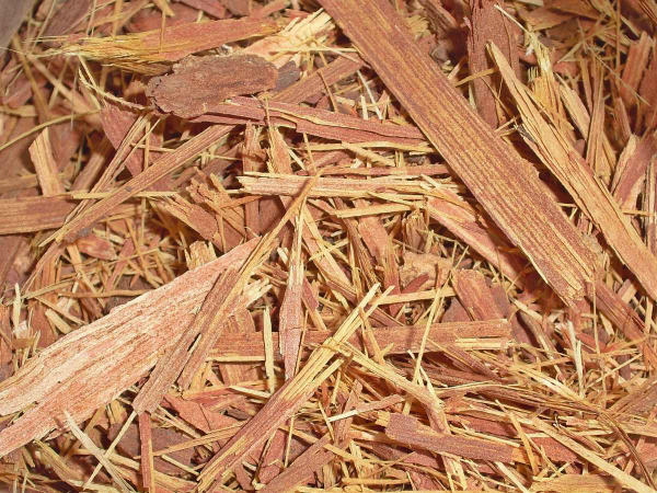 Uxi Amarelo 100g