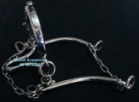 Breque ou Professora com embocadura