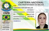 FERNANDA HERTZER BALLES