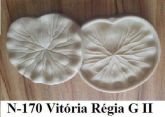 Vitória Régia G II (n-170)
