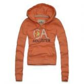 Moletom Feminino Hollister HO6504