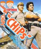 DVD CHIPs - 5 TEMP - 6 DVDs
