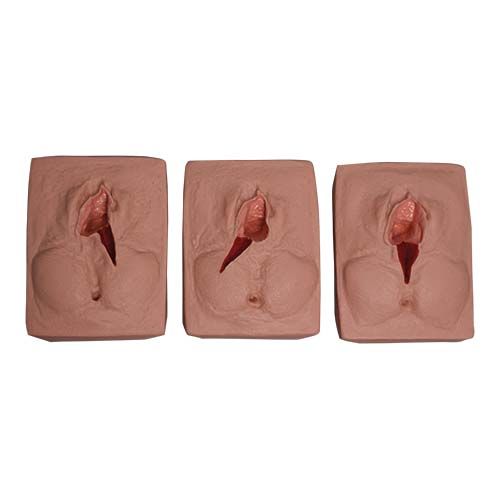 Simulador de Sutura da Vulva-CS/COL-2403