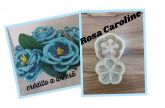 Rosa carolina
