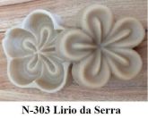 Lírio da Serra(n-303)