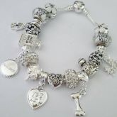 Pulseira Prateada