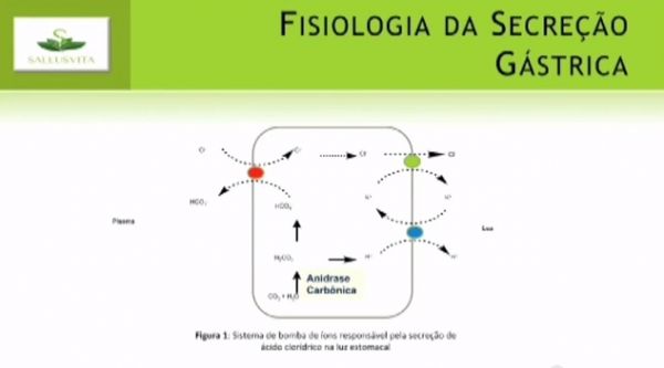 Aula Antiulcerosos e Antiácidos (Prof. Bruno Cotrim)
