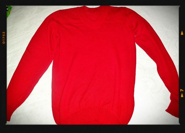 Blusa Masculina  Gola V