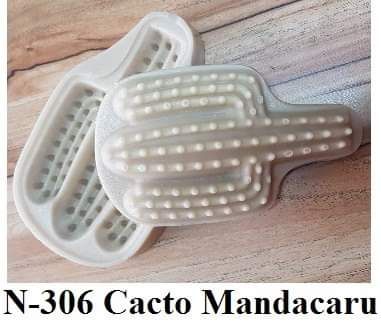 Cacto Mandacaru (N-306)