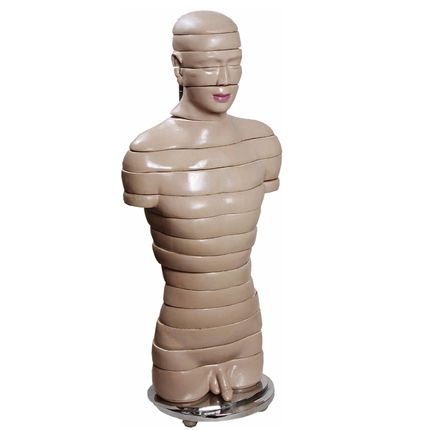 Torso em Disco, Corte Axial, em 18 Partes-CS/AT/TGD-0220