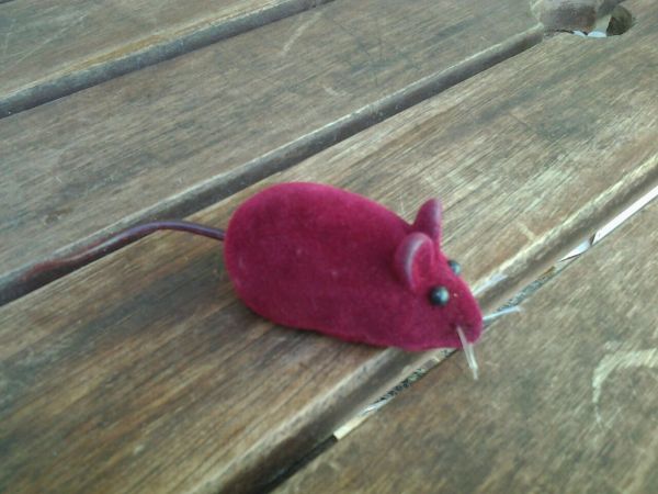 Ratinho de brinquedo para gatos com apito - 1 unidade vermelho