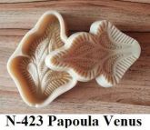 Papoula Vênus (n-423)