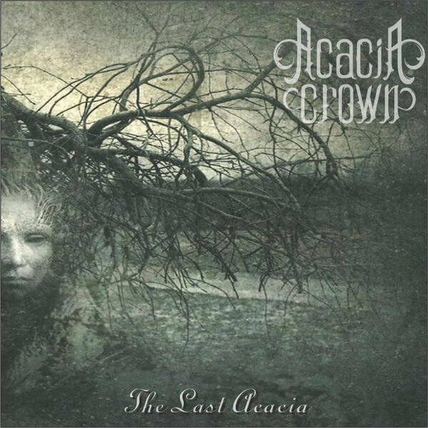 Acácia Crown - The Last Acacia