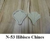 Hibisco Chinês(n-53)