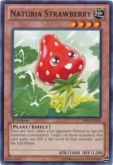 Naturia Strawberry BP01-EN210