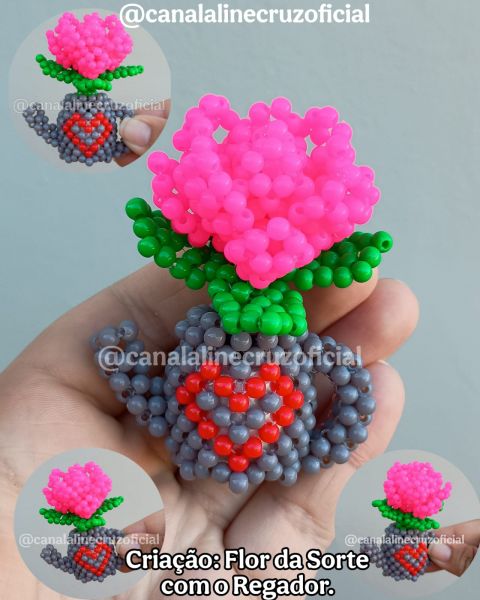 VIDEO AULA DA FLOR DA SORTE COM REGADOR