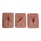 Simulador de Sutura da Vulva-CS/COL-2403