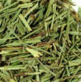 Capim Limão 100g