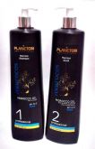 marroquina placton