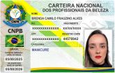 BRENDA CAMILO FRAUZINO ALVES