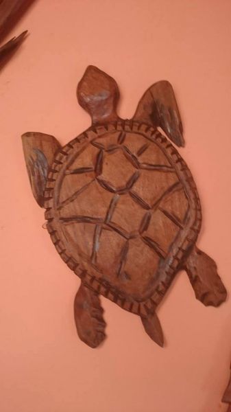 Entalhe - Tartaruga
