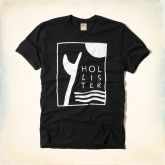 Camiseta Hollister