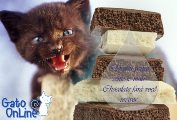 Caixa Dormiu pouco, sente-se mal? Chocolate fará você revive