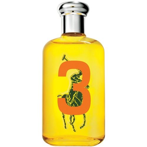 POLO BIG PONY 3 EDT FEM 100ML COD 868928