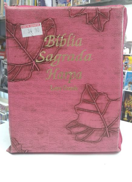 BIBLIA SAGRADA LETRA GRANDE COM HARPA E CORINHOS