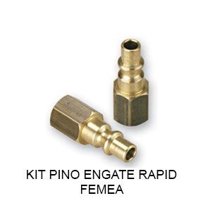 Kit Pino Engate Rápido Fêmea