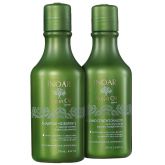 1.Kit Inoar Argan Oil Hair (2 Produtos)