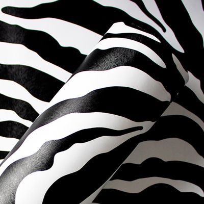AB Zebra