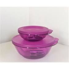 Tupperware Kit Tigela Design Policarbonato Púrpura 2 Peças