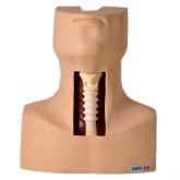 Simulador de Traqueostomia-CS/AT/TGD-4058