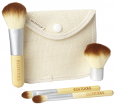 kit de pincies Ecotools