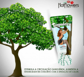 Trepadeira