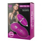 VIBRADOR BULLET VIBRATING EGG