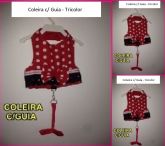 coleiras com guia tricolor