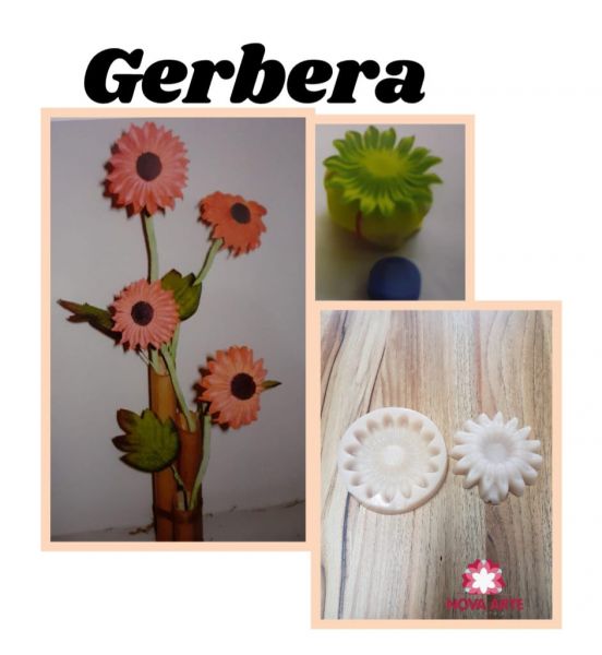 Gérbera