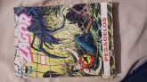 ZAGOR RECORD NR 43
