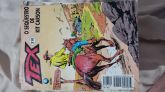TEX GLOBO MENSAL NR 310