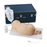 Simulador de Punção Lombar Pediátrico - CS/SK -LF 01000U
