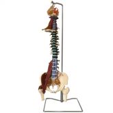 Coluna Flexivel Multifuncional-CS/AT/TGD 0148-M