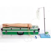 Braço P/ Treino de Injeção em Músculo Deltoide e Veias CS/AT/TZJ 0501-A