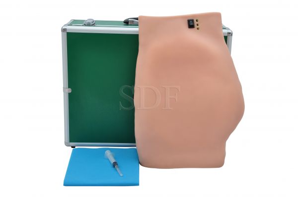 Simulador de Injeção Intramuscular no Glúteo Eletrônico CS/SD-4009