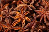 Anis Estrelado 100g