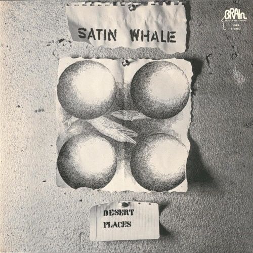 SATIN WHALE - Desert Places