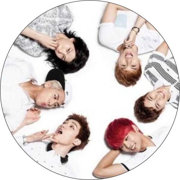 Adesivo 8 cm x 8 cm - VIXX Foto