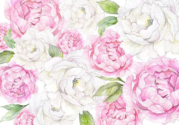 Papel de parede Rosas
